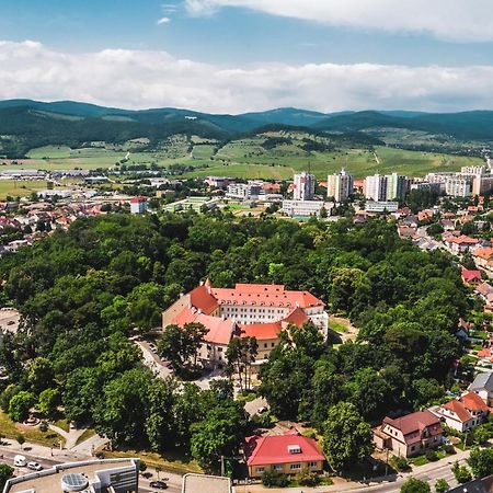 Palace Art Hotel Пезінок Екстер'єр фото