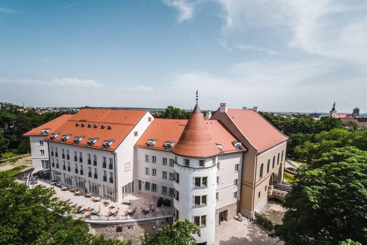 Palace Art Hotel Пезінок Екстер'єр фото