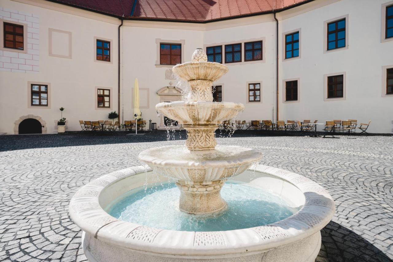 Palace Art Hotel Пезінок Екстер'єр фото