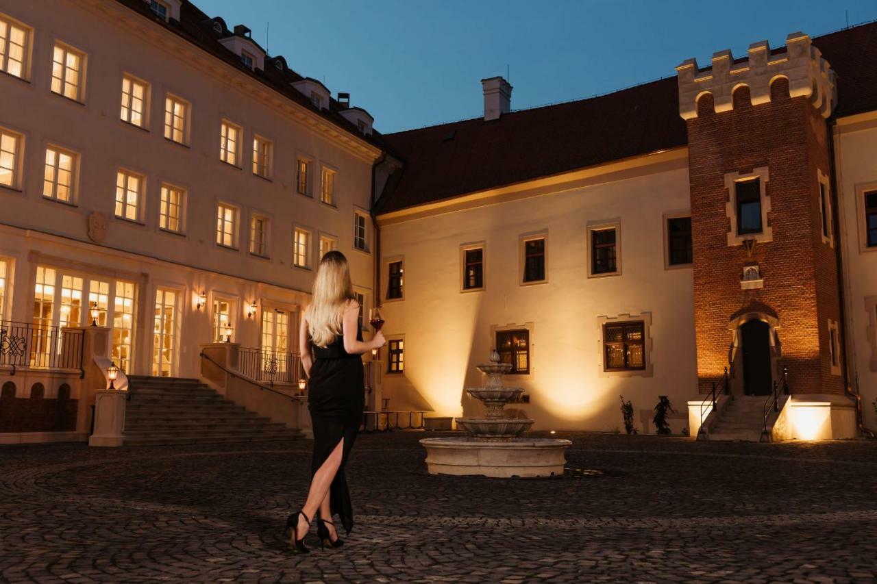 Palace Art Hotel Пезінок Екстер'єр фото